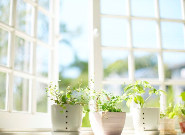 Зачем дома воздухоочиститель медицинского класса