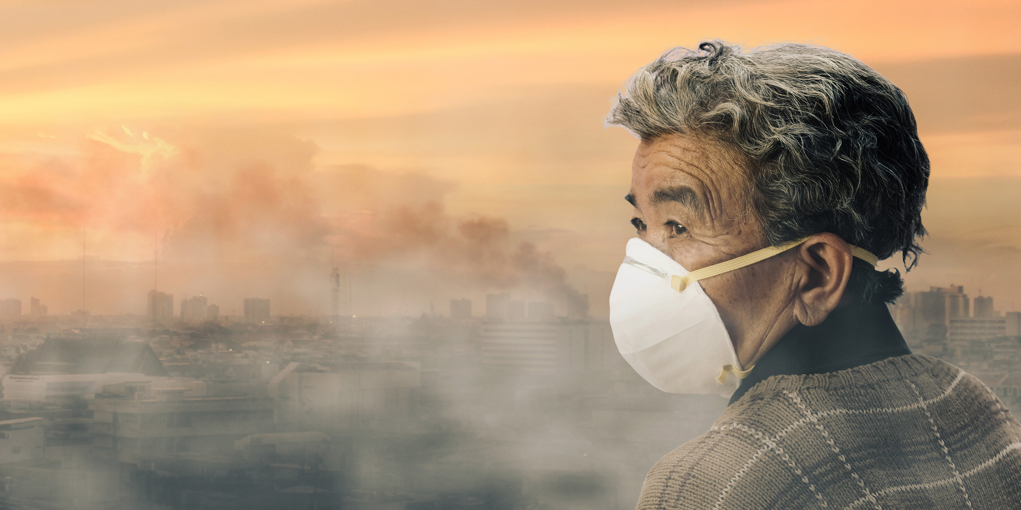 Дегустаторы смога