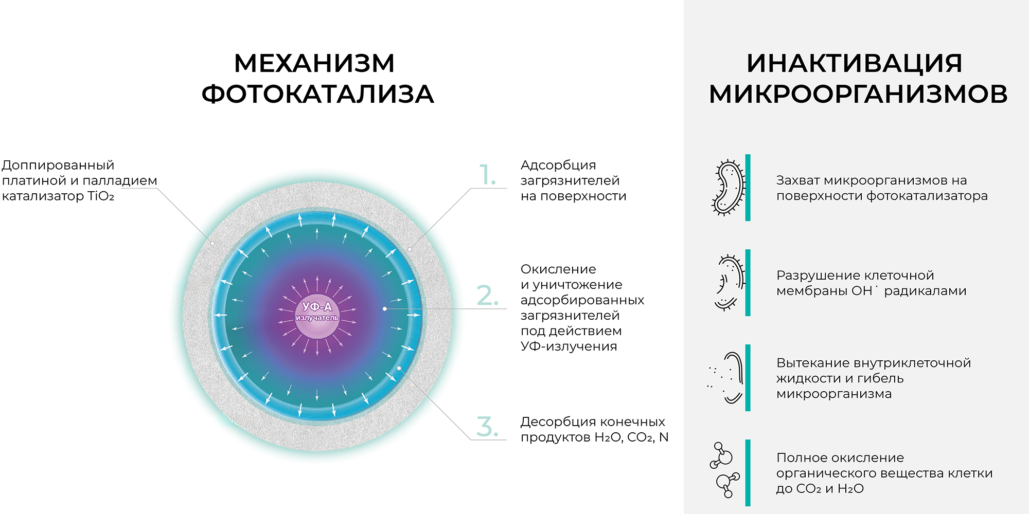 Механизм фотокатализа