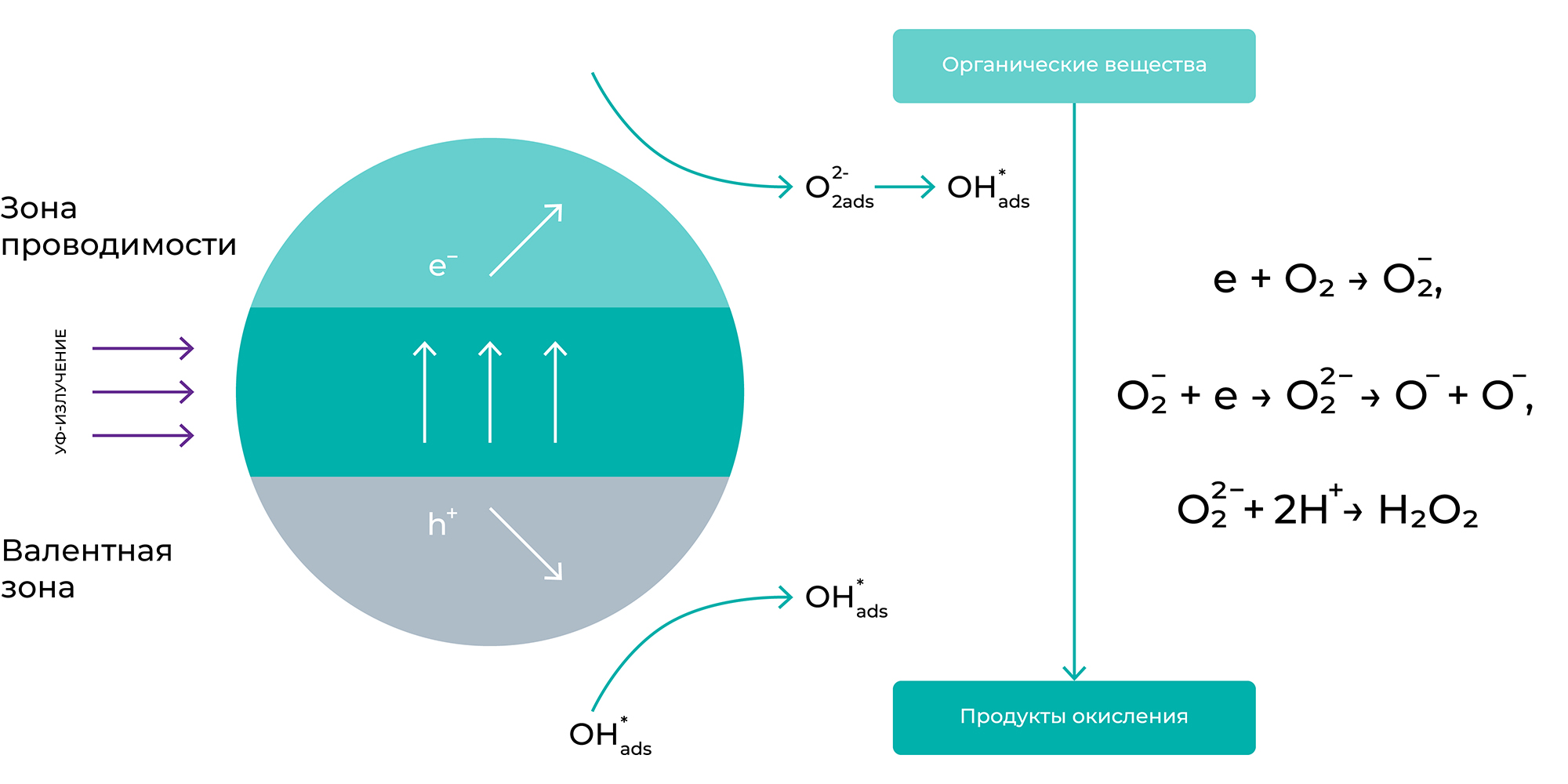 Фотокаталитические методы очистки воды и воздуха